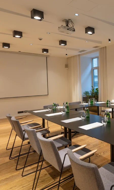 Corporate Lighting Systems lighting fixtures installed in corporate conference room for video conferencing